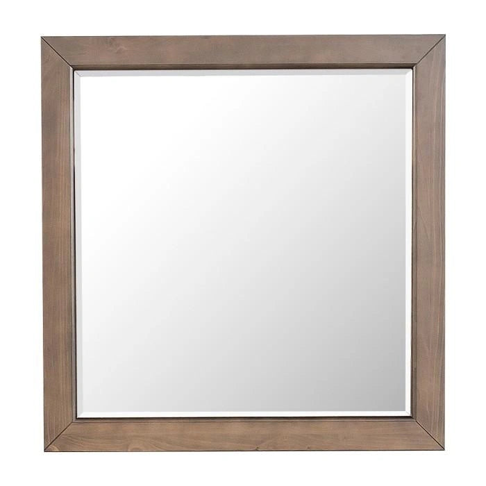 Bracco Collection